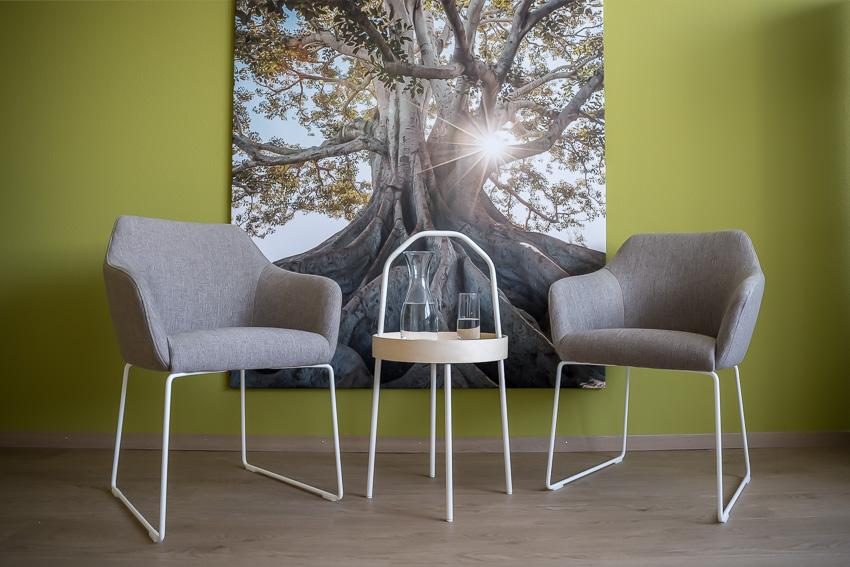 Wohnecke mit grüner Wand und Baum-Fototapete